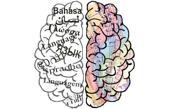 emisferi cerebrali musica linguaggio